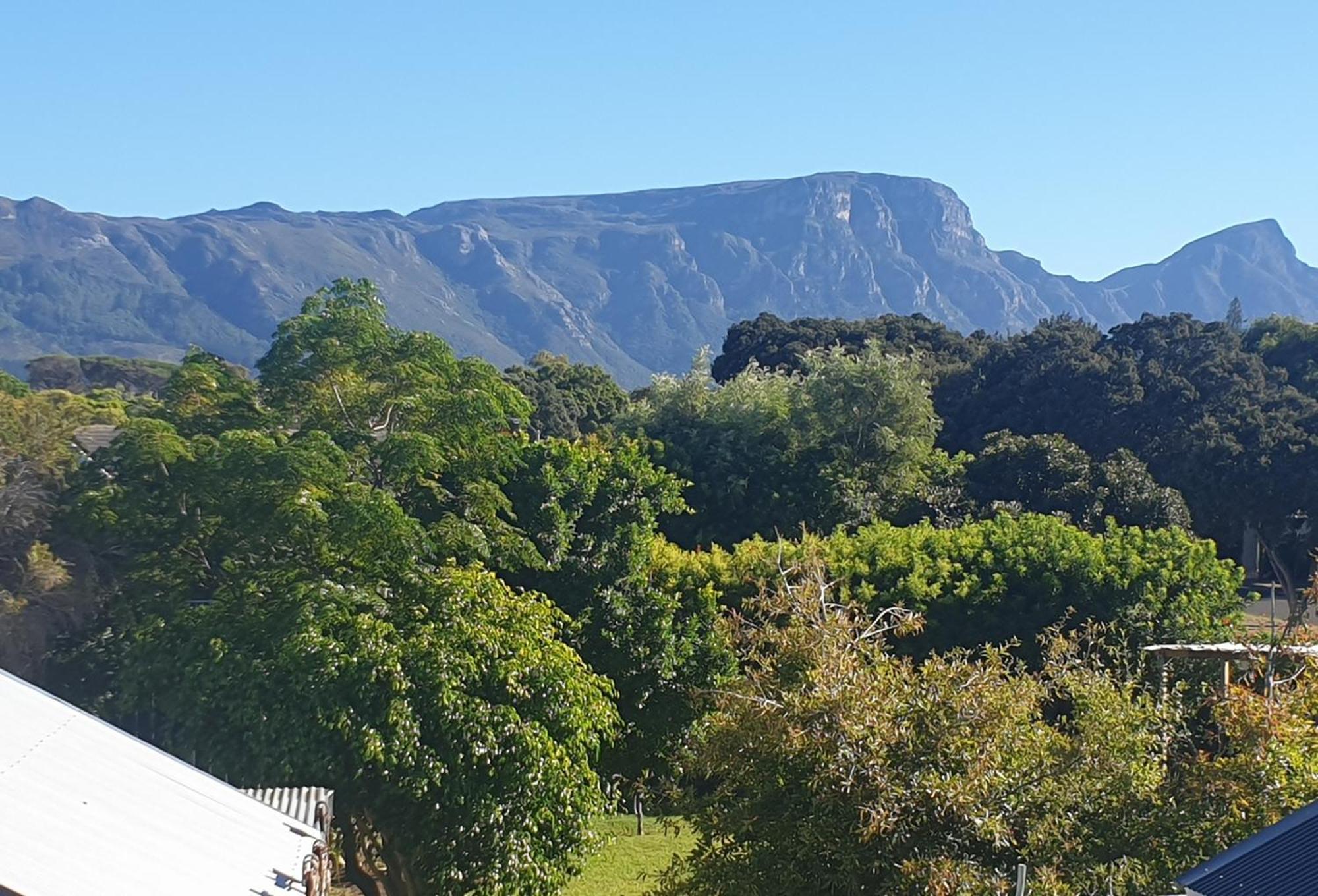 Clement One, A Villa For Family & Friends Cape Town Exterior foto